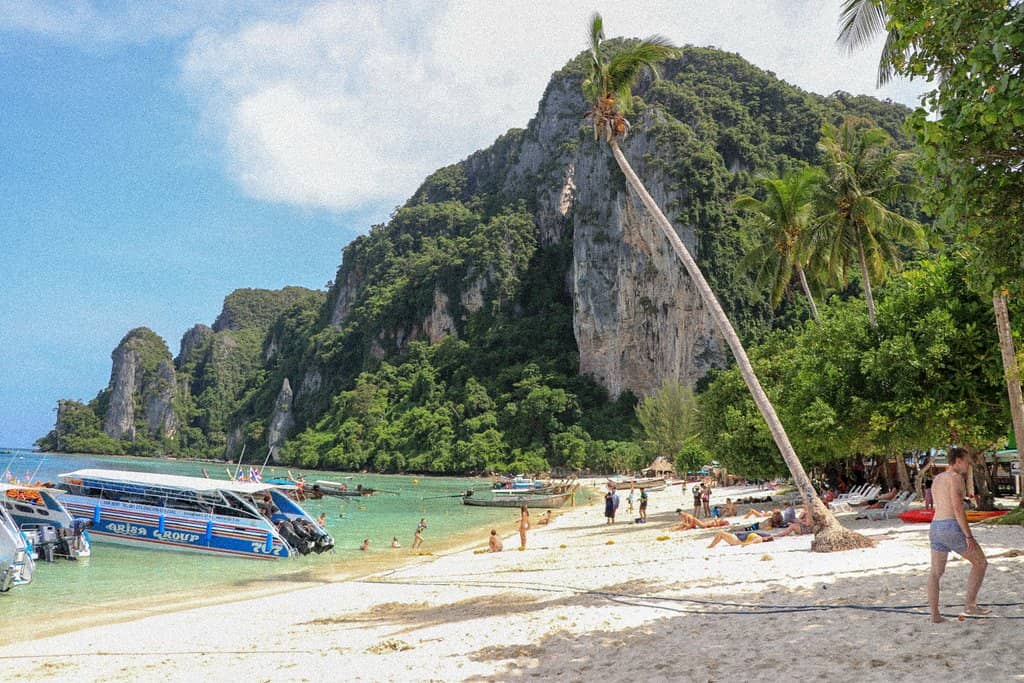 Highlights