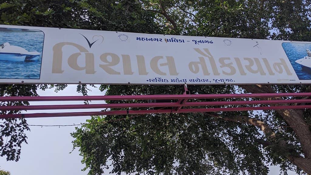 Street Food Delights