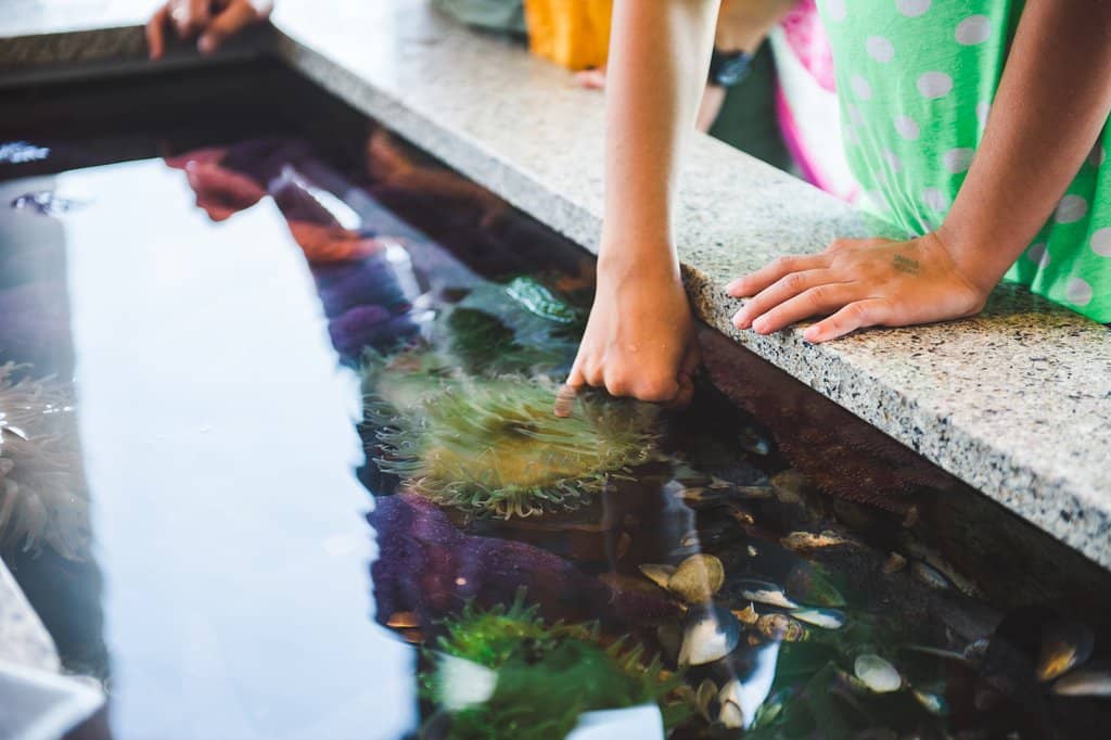 The 'Submarine' Entrance