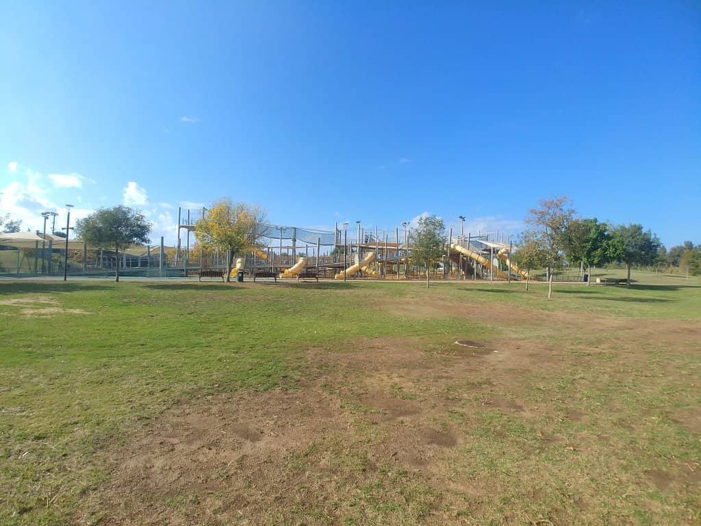 Duck Ponds & Birdlife