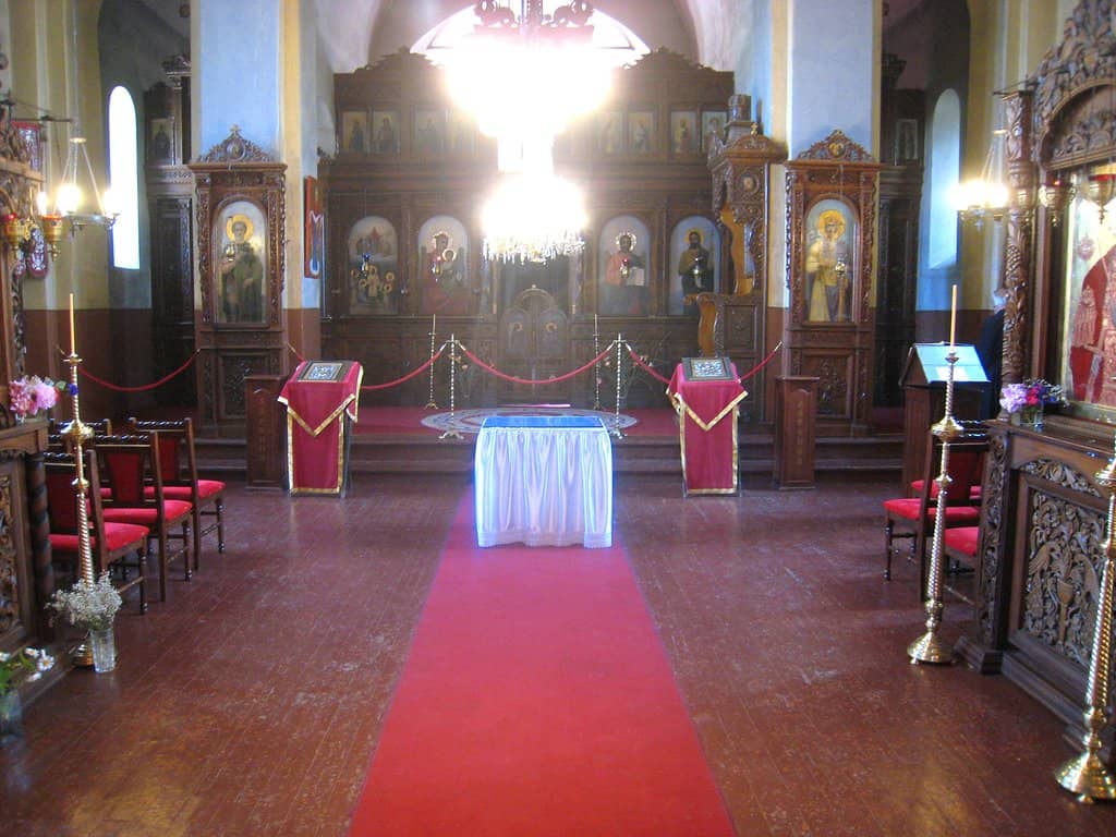 Nature and Wildlife Encounters