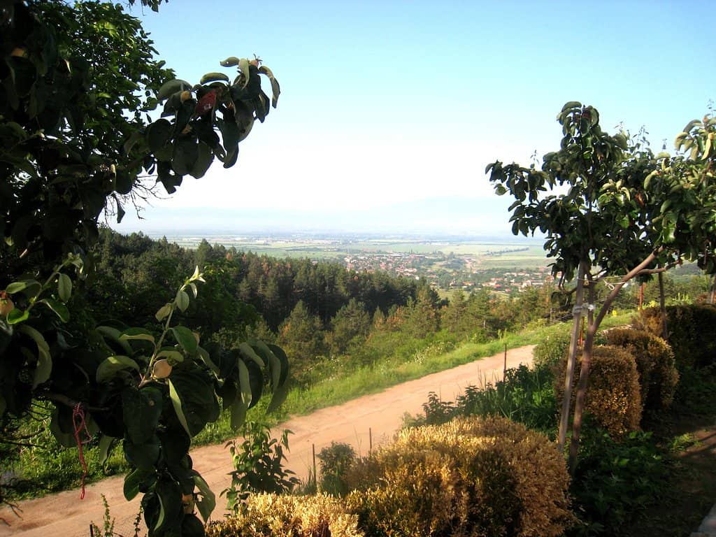 Renovated Monastery and Church