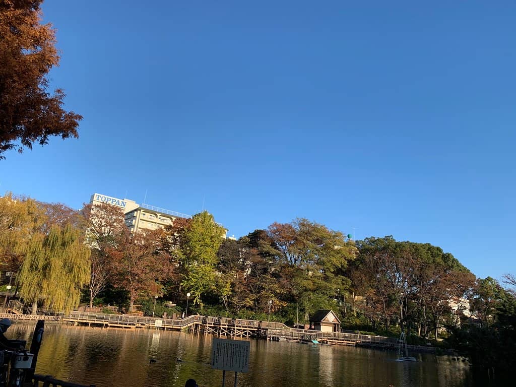 Children's Playground