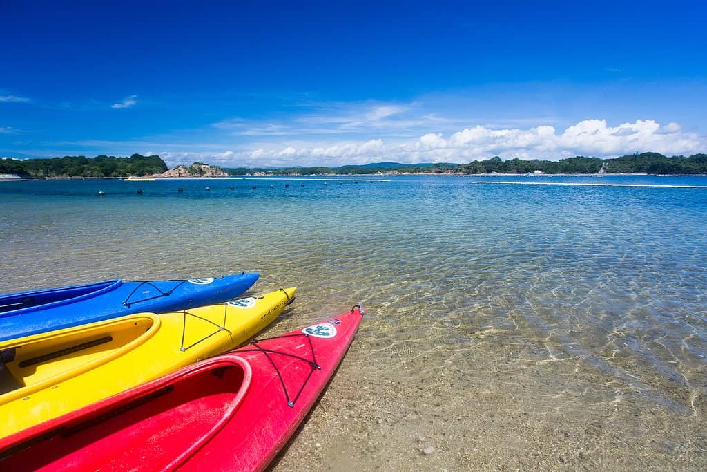 Paddleboarding & Bike Rentals