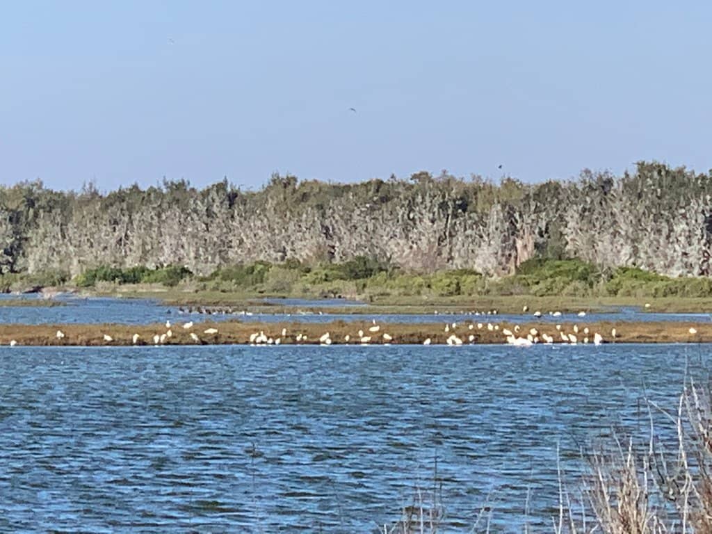 Family Nature Escape