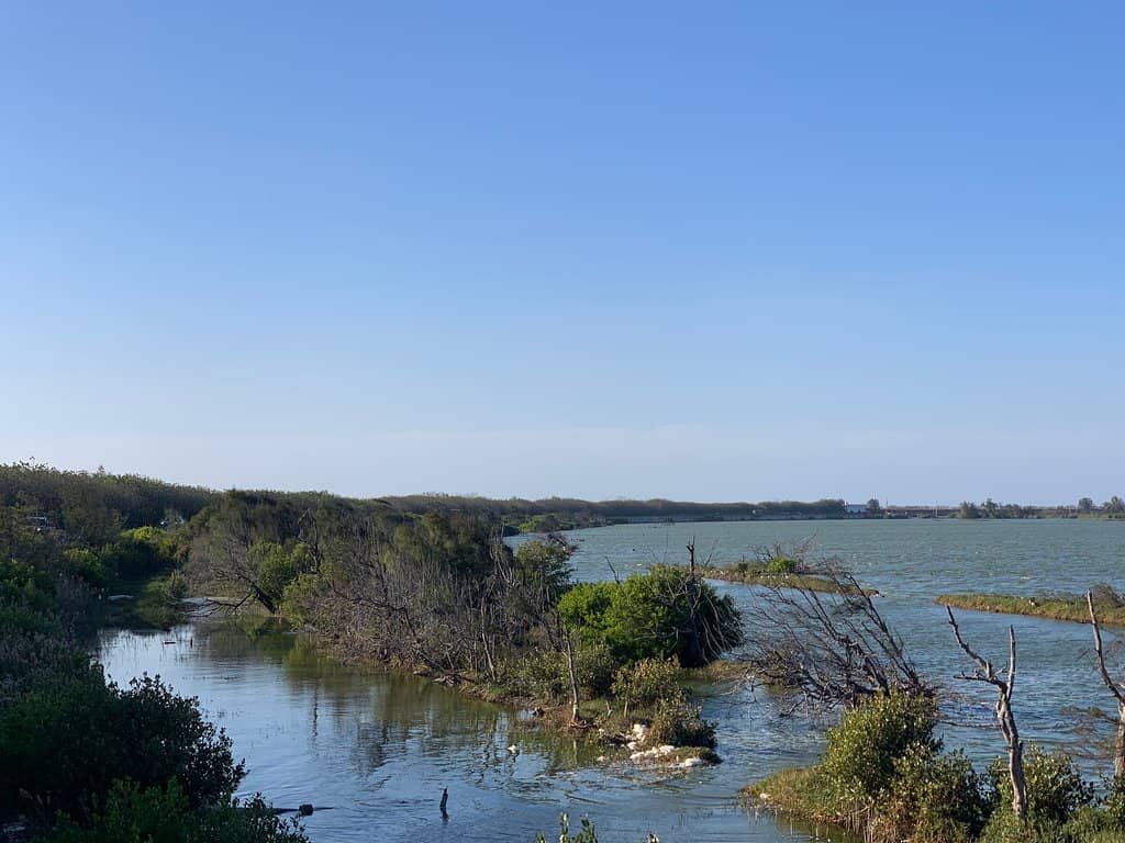 Serene Wetland Trails