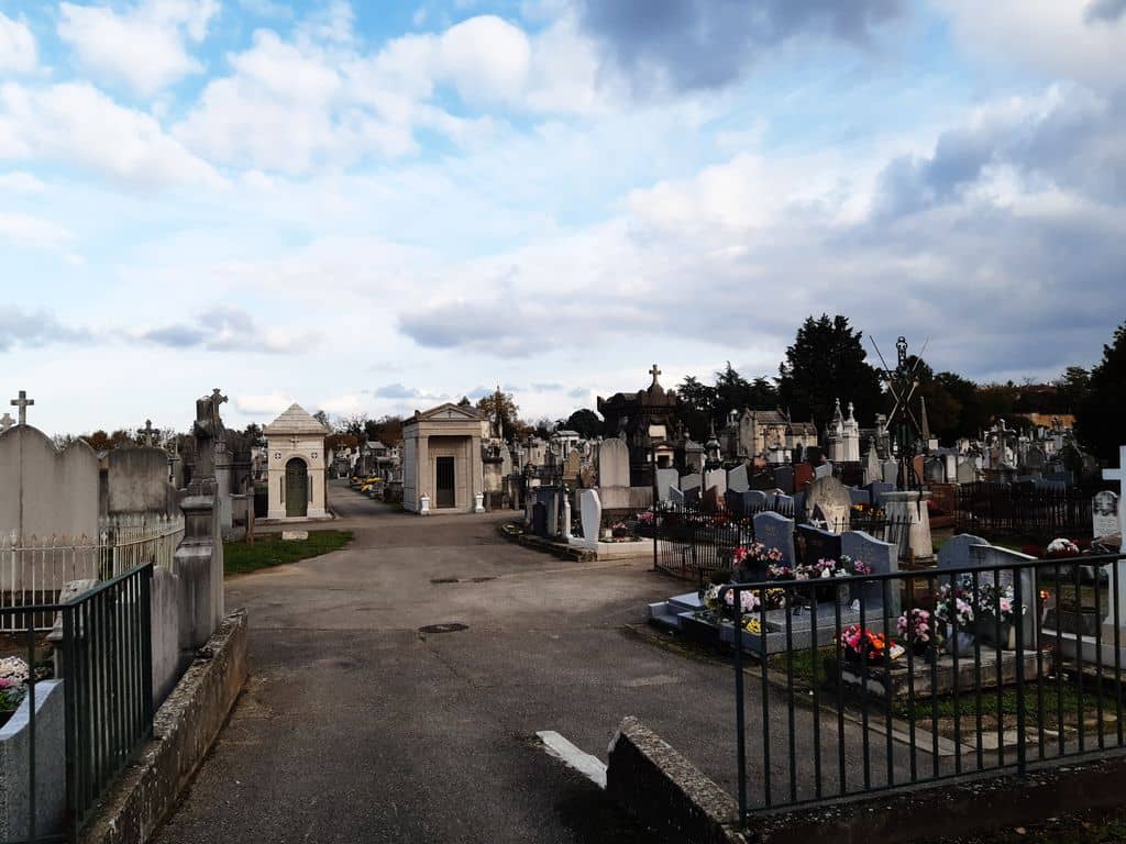 Panoramic City Views