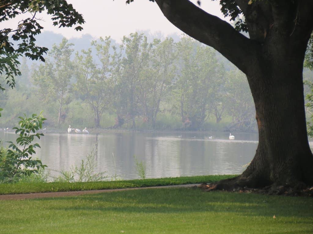 Playground & Picnic Areas