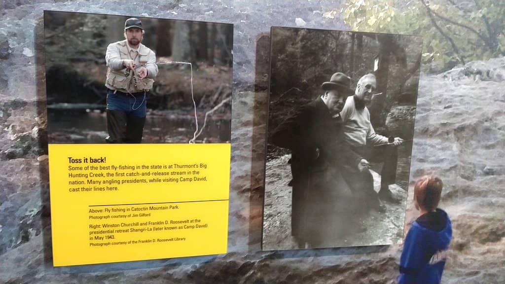 Interactive Exhibits