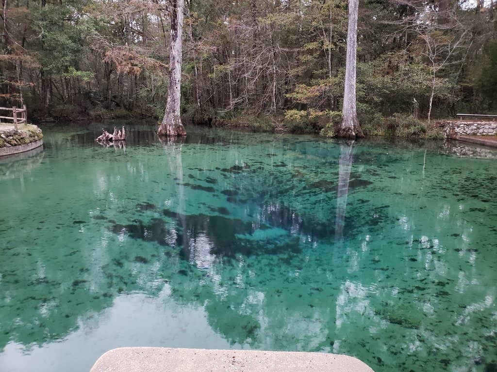The Main Spring