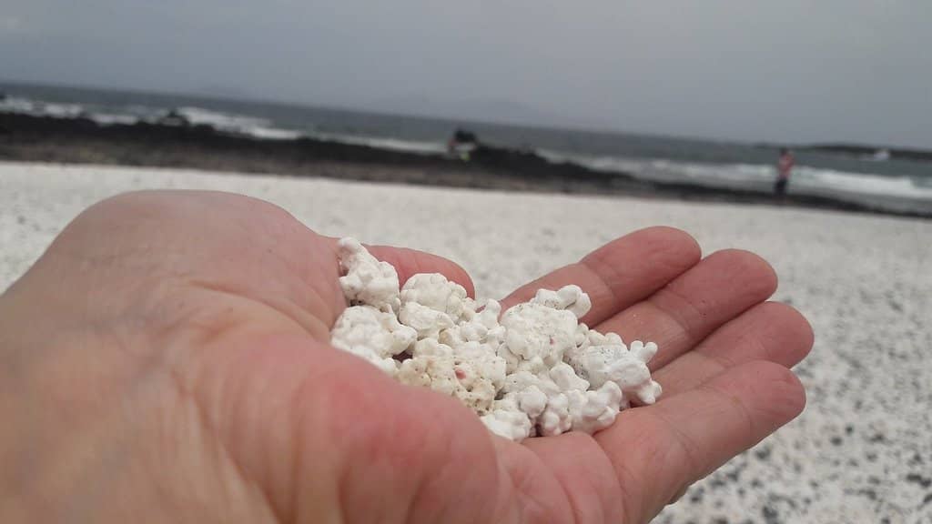Rocky Coastal Walk