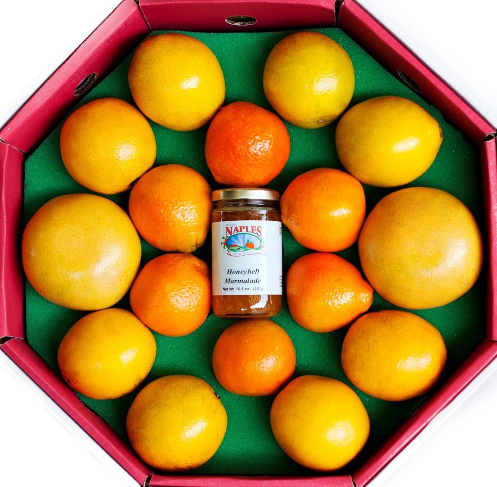 Freshly Squeezed Juices