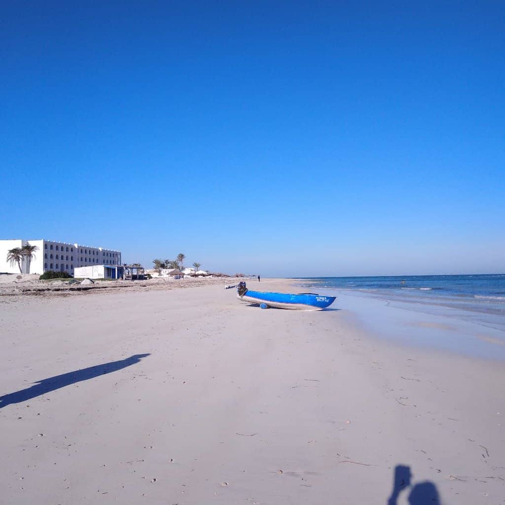 Horse and Camel Rides