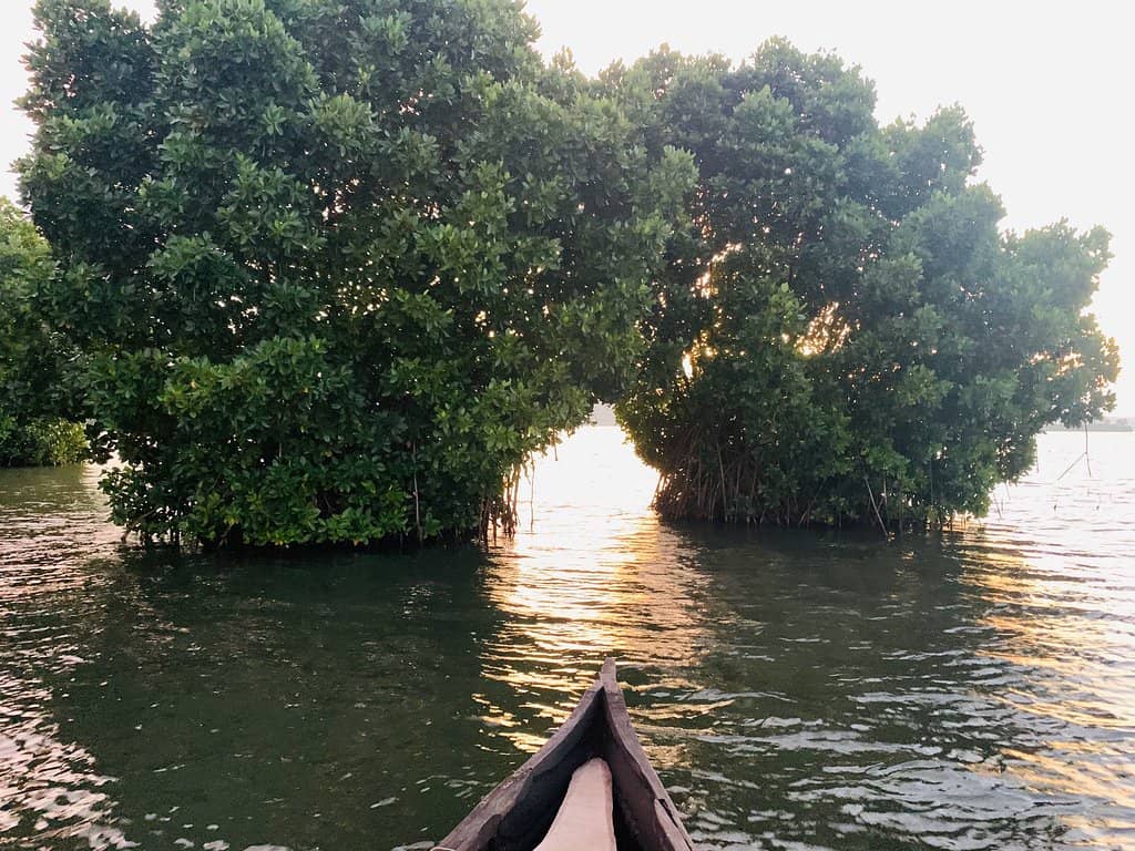 Scenic Boat Rides