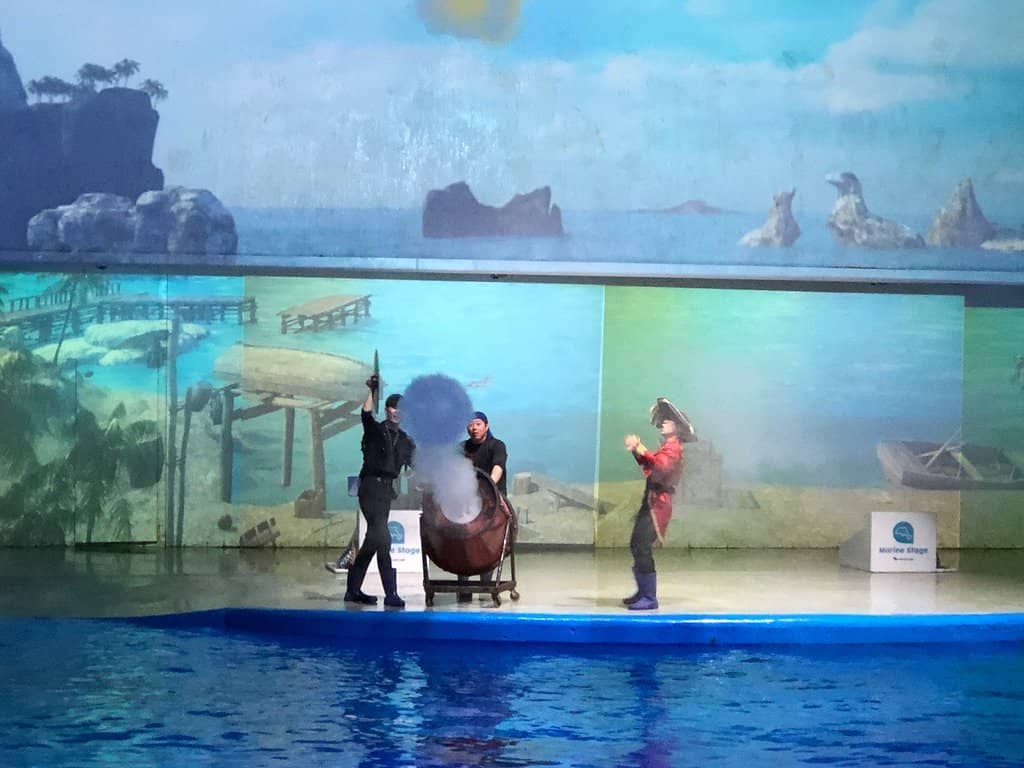 Peaceful Beachside Ambiance