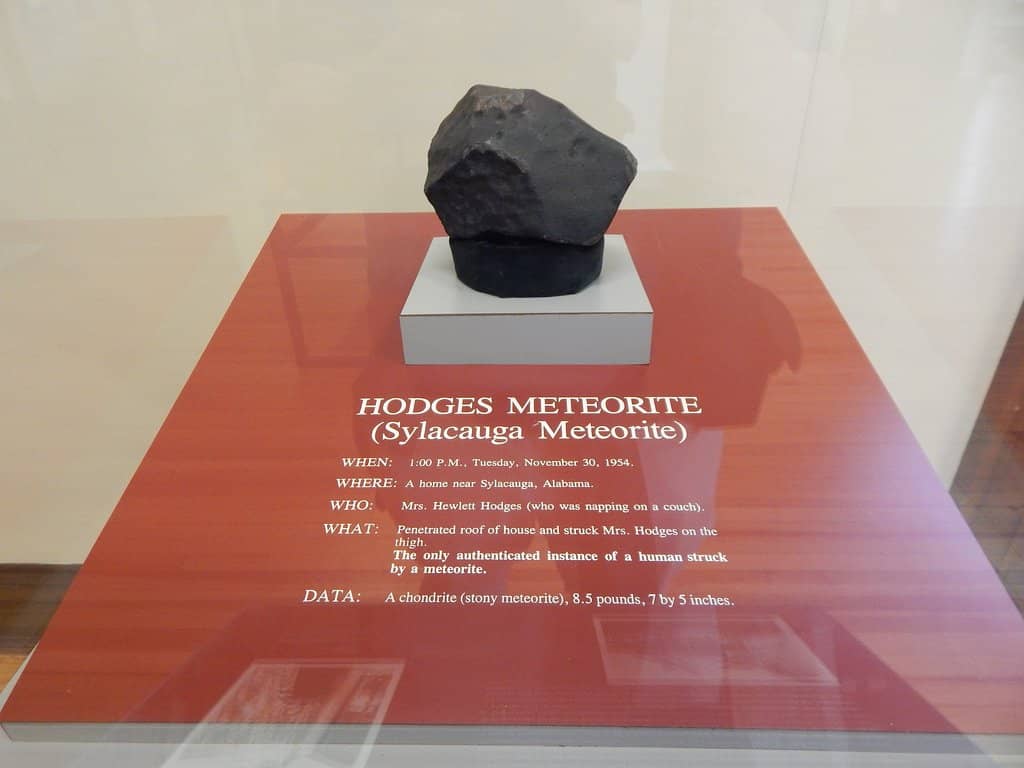 Fossil and Geological Displays