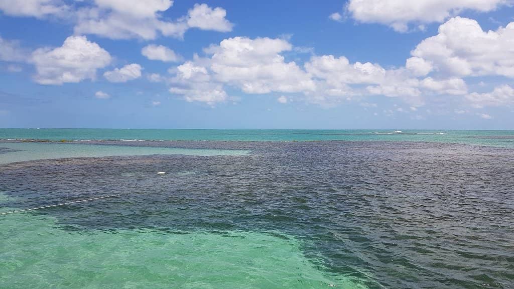 Crystal Clear Waters