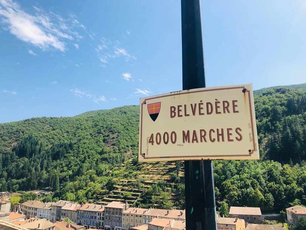 Shaded Forest Ascent