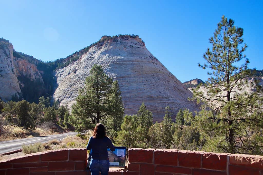 The Iconic Checkerboard Pattern