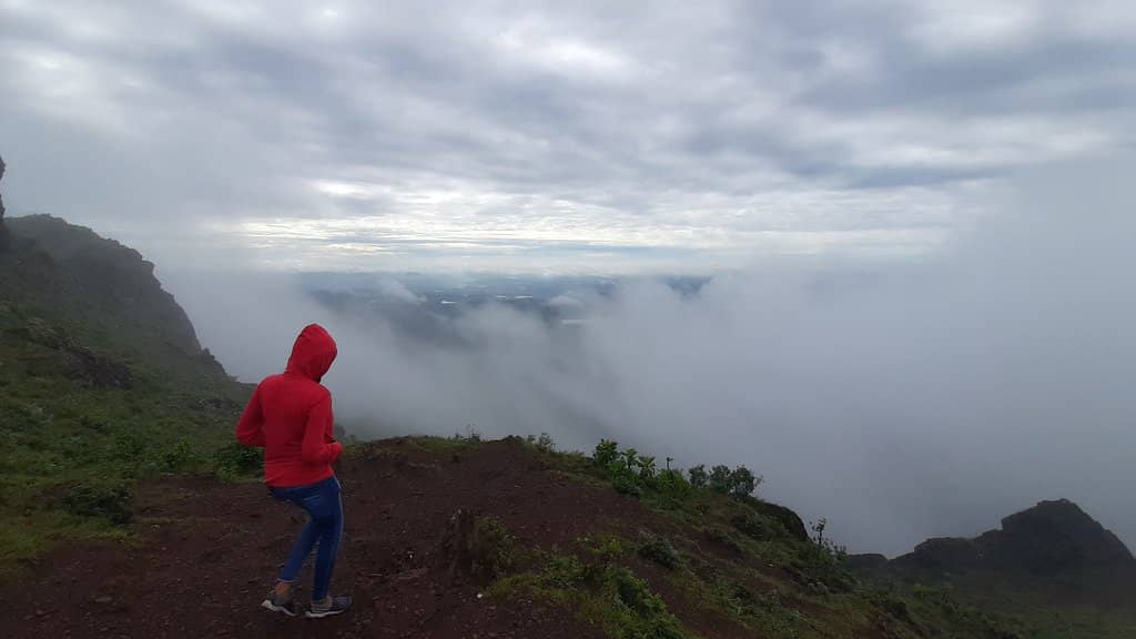 Misty Atmosphere