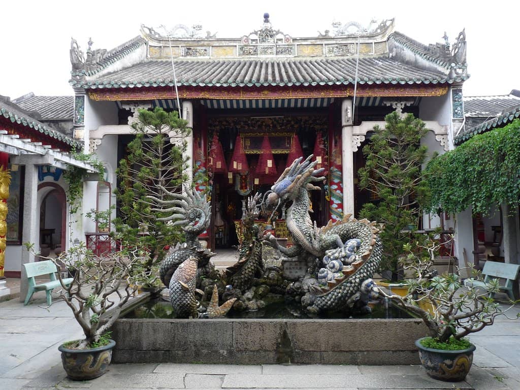 Tranquil Koi Ponds