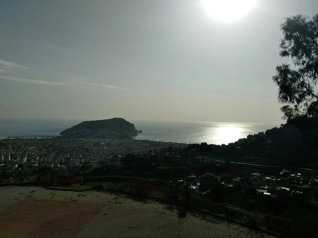 Family-Friendly Dining