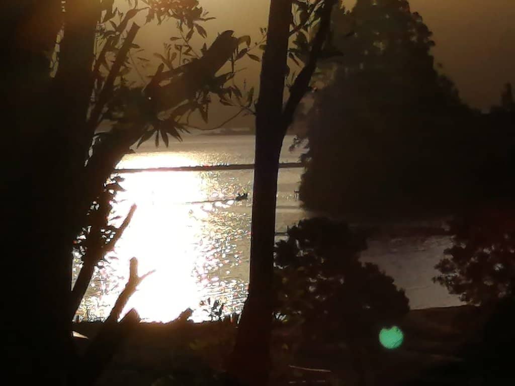 Vertical photo