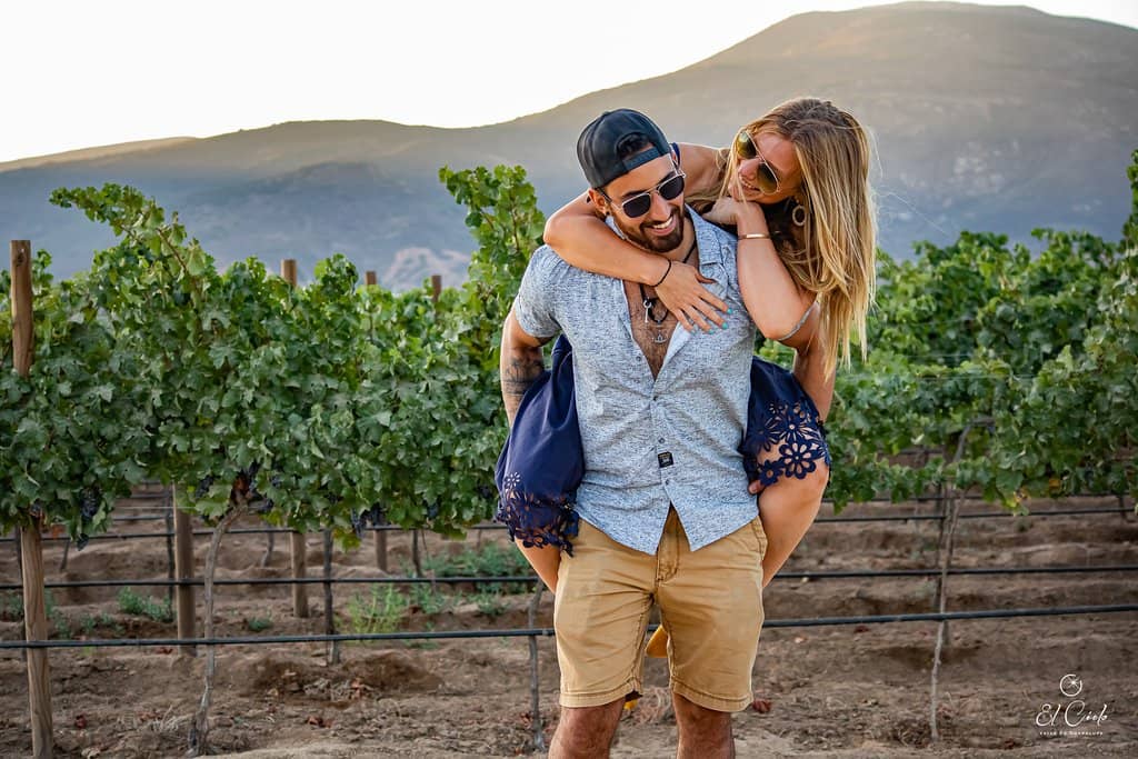 Gourmet Dining Experiences