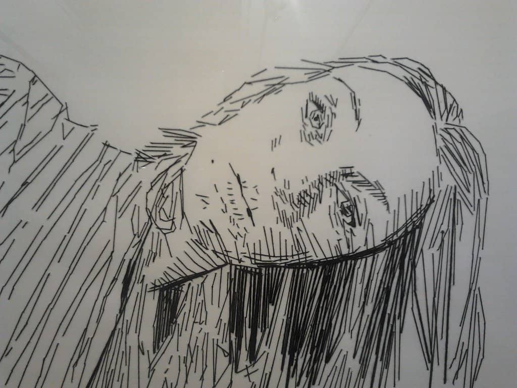 Dance Workshops & Performances