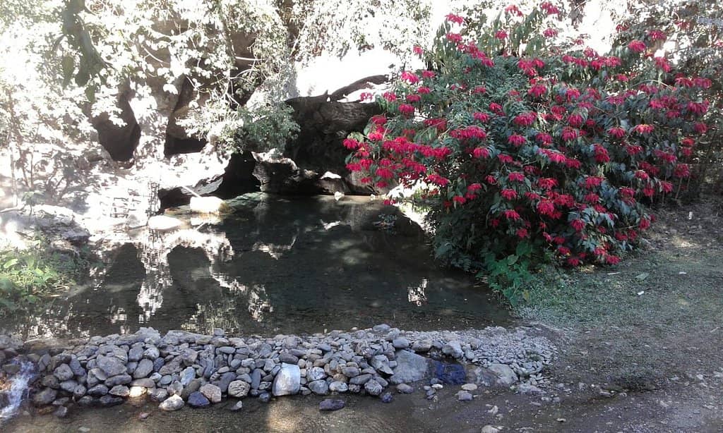 Subterranean Exploration