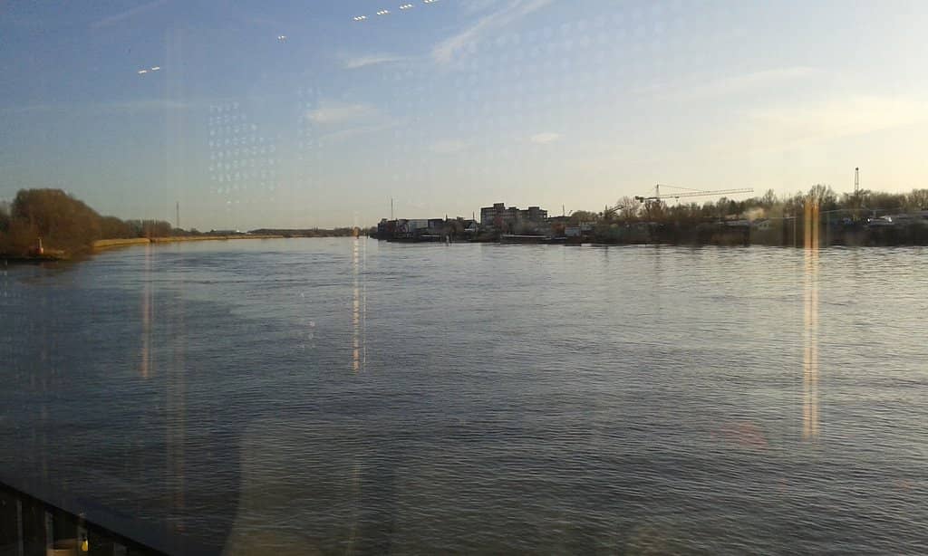 Delectable Grilled Cheese Sandwiches