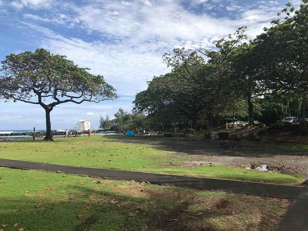 Sea Turtle Sightings