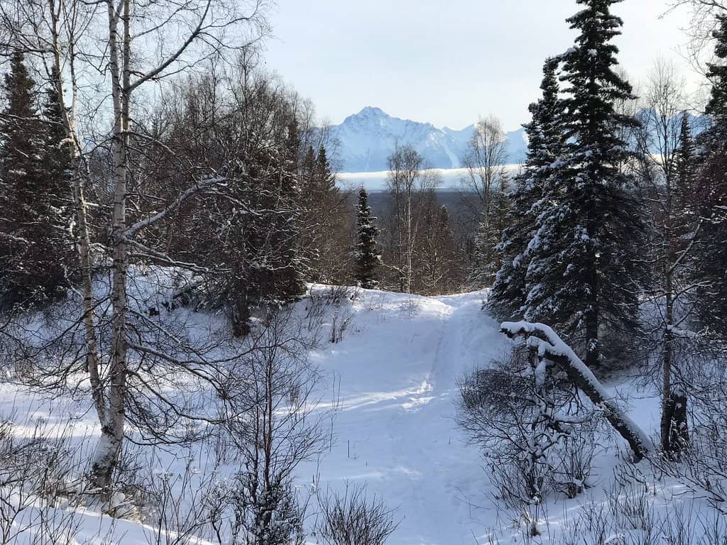 Panoramic Mountain Vistas