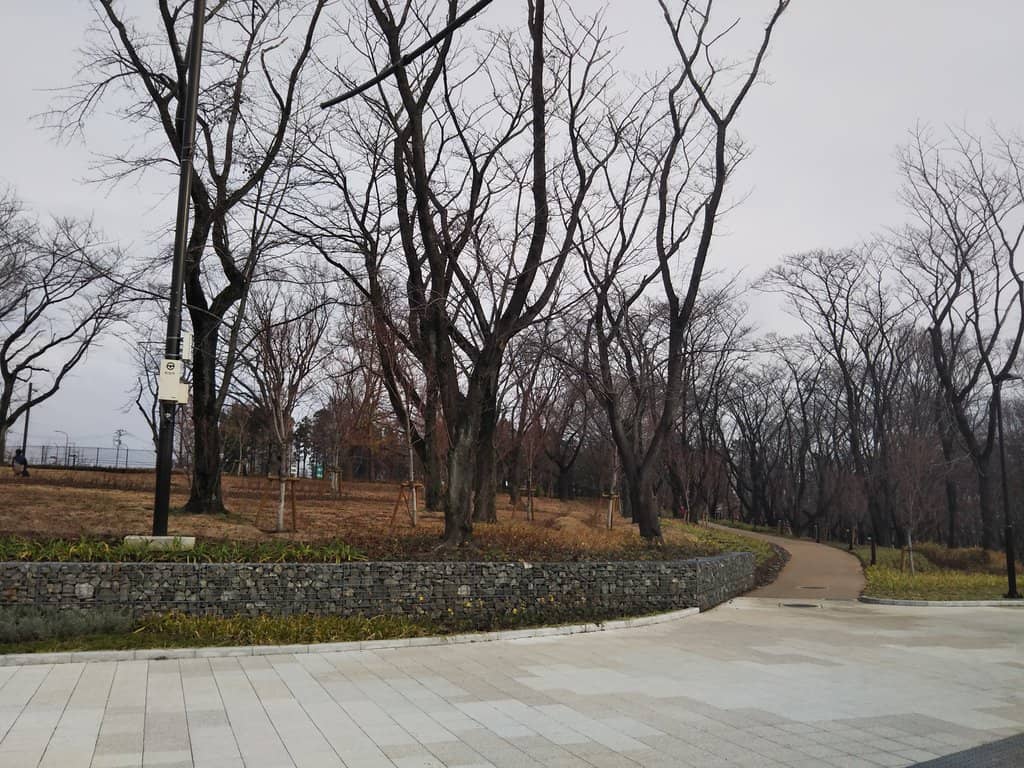 Children's Play Area