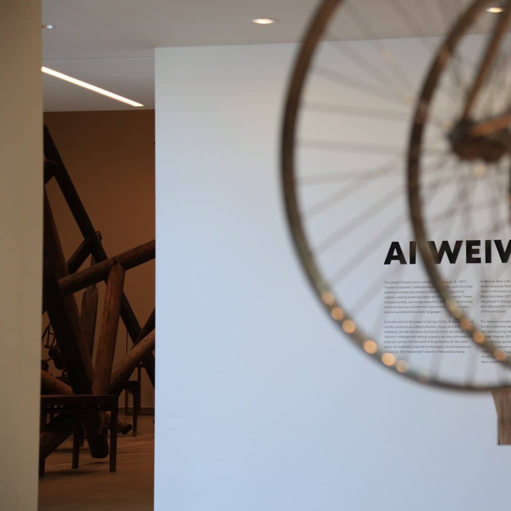 Student Exhibitions