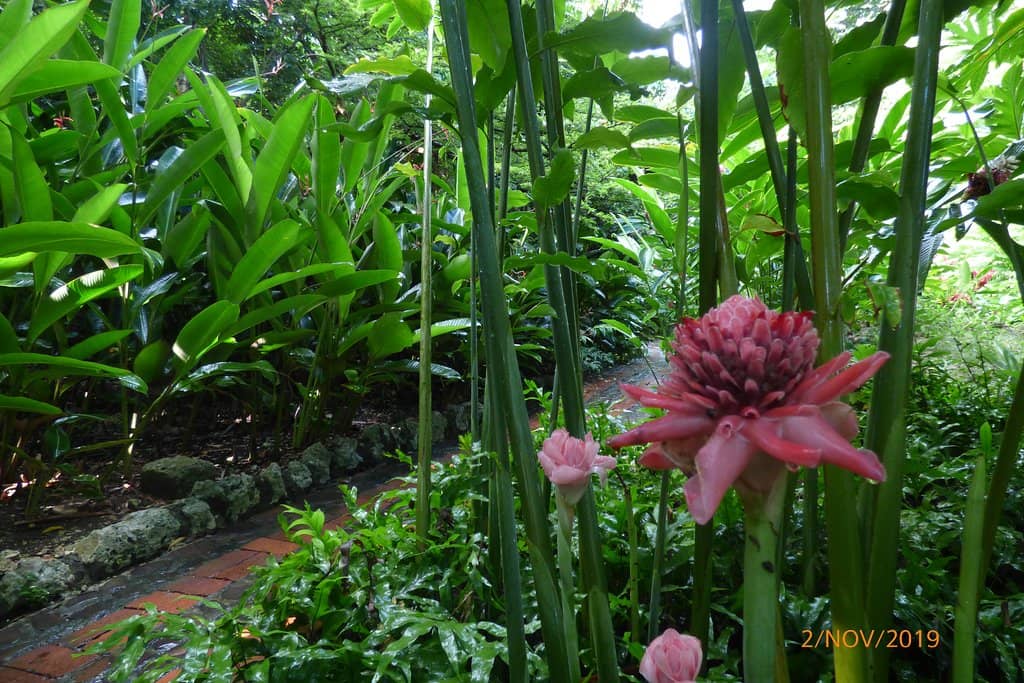 Award-Winning Botanical Treasure