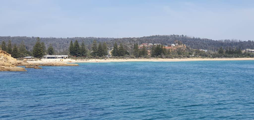 Historic Wharf Experience