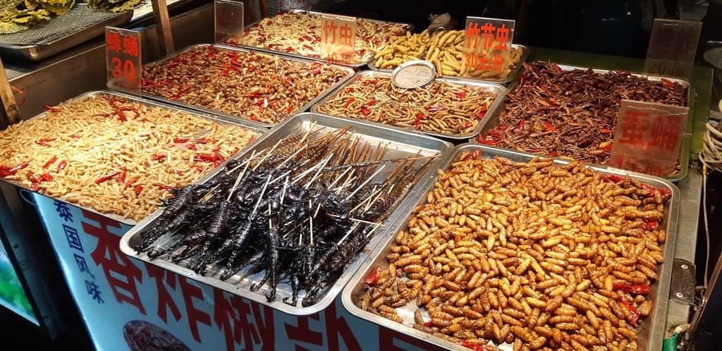 Street Food Delights