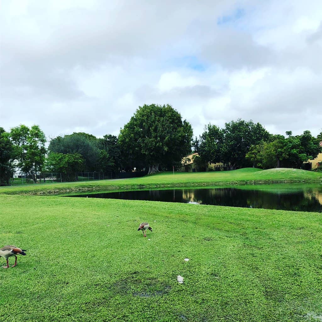 Affordable Practice Facilities