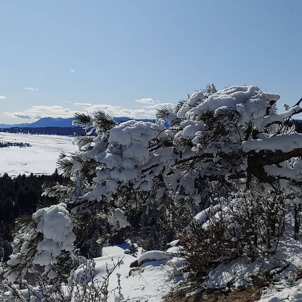 Spruce Mountain Overlook