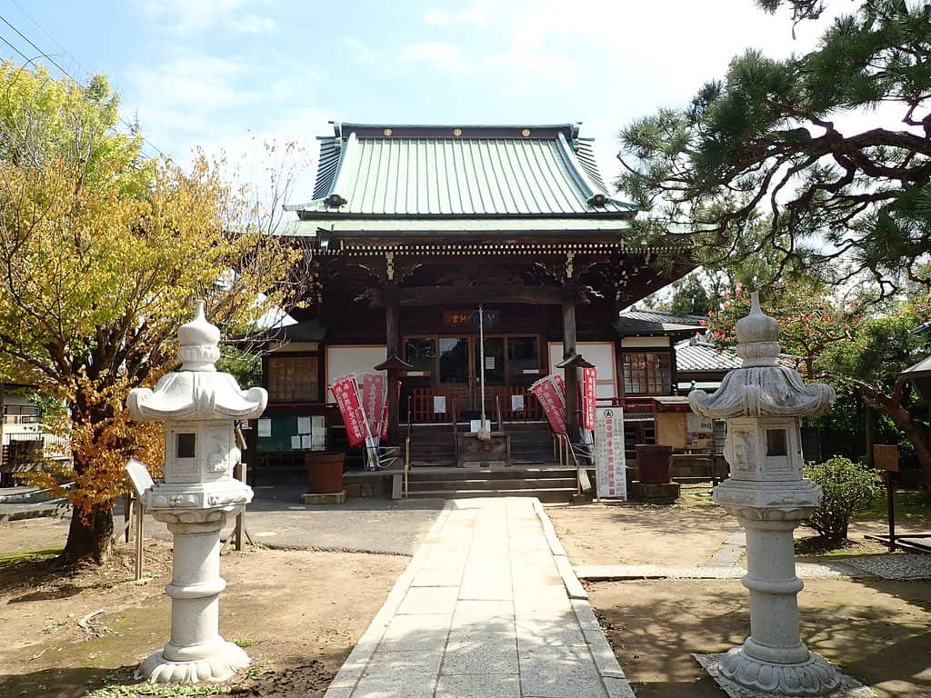 Tranquil Morning Pond