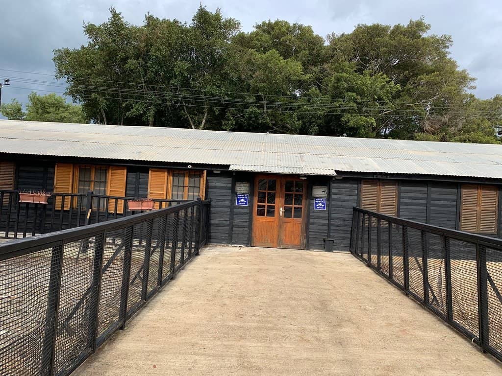 The 'Ma'apilim' Story