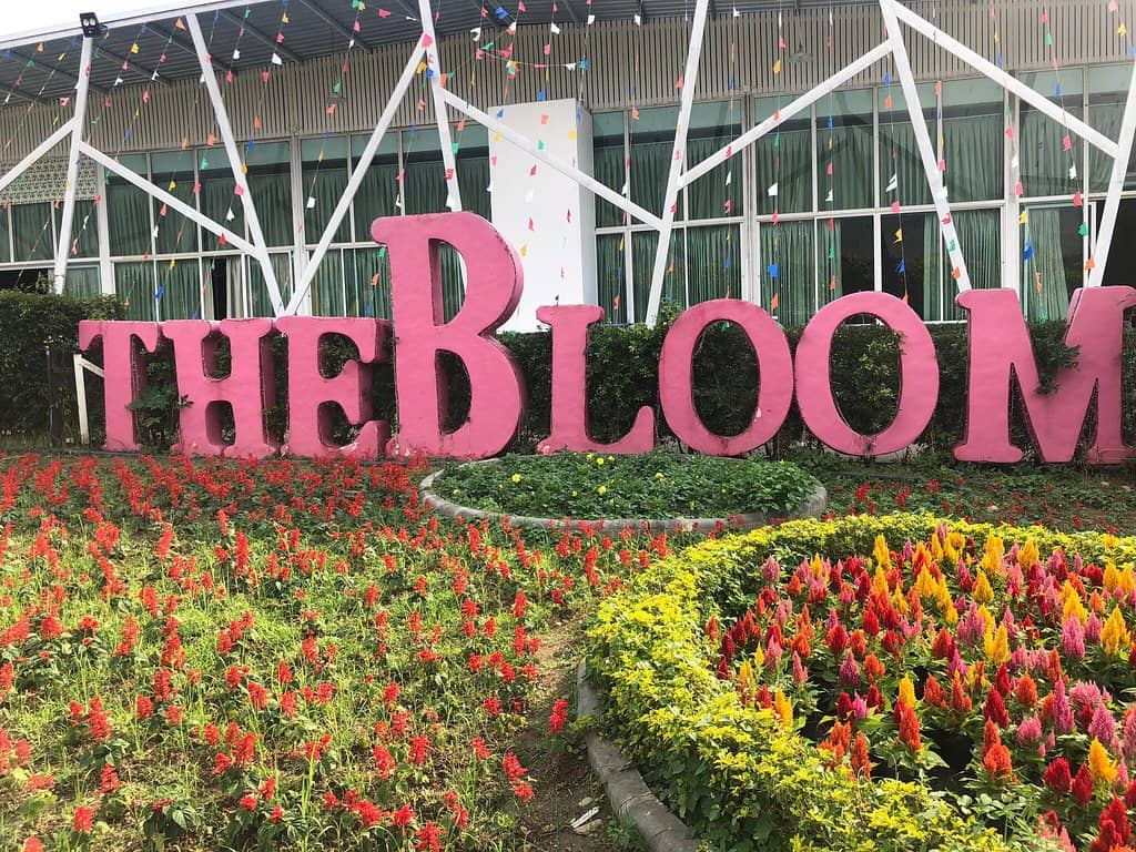 The Bloom Cafe