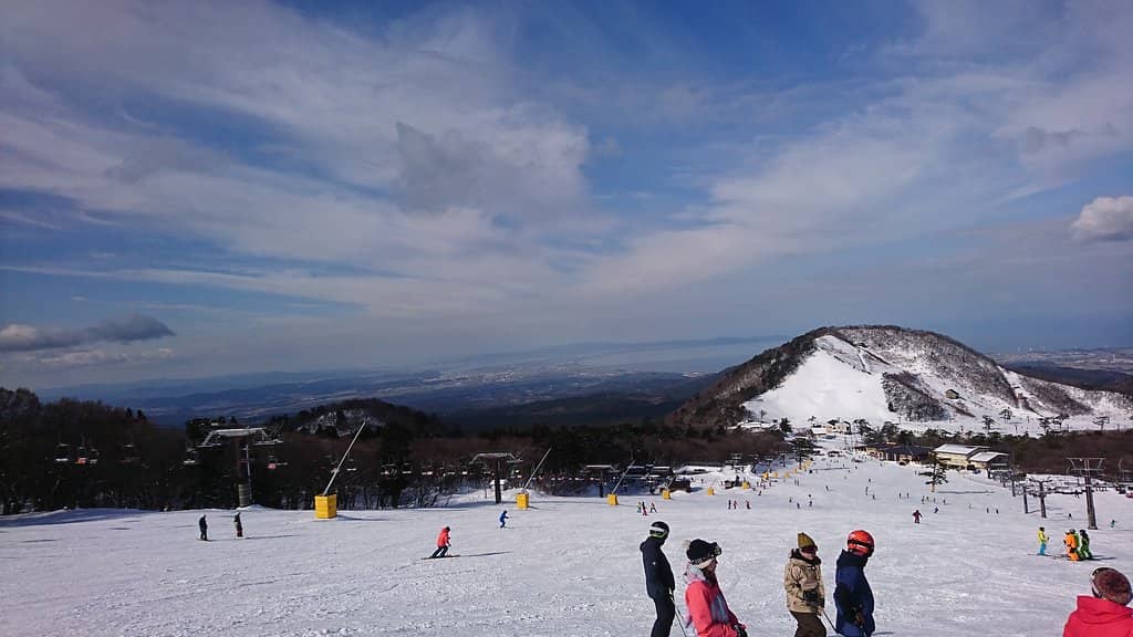 Diverse Skiing & Snowboarding