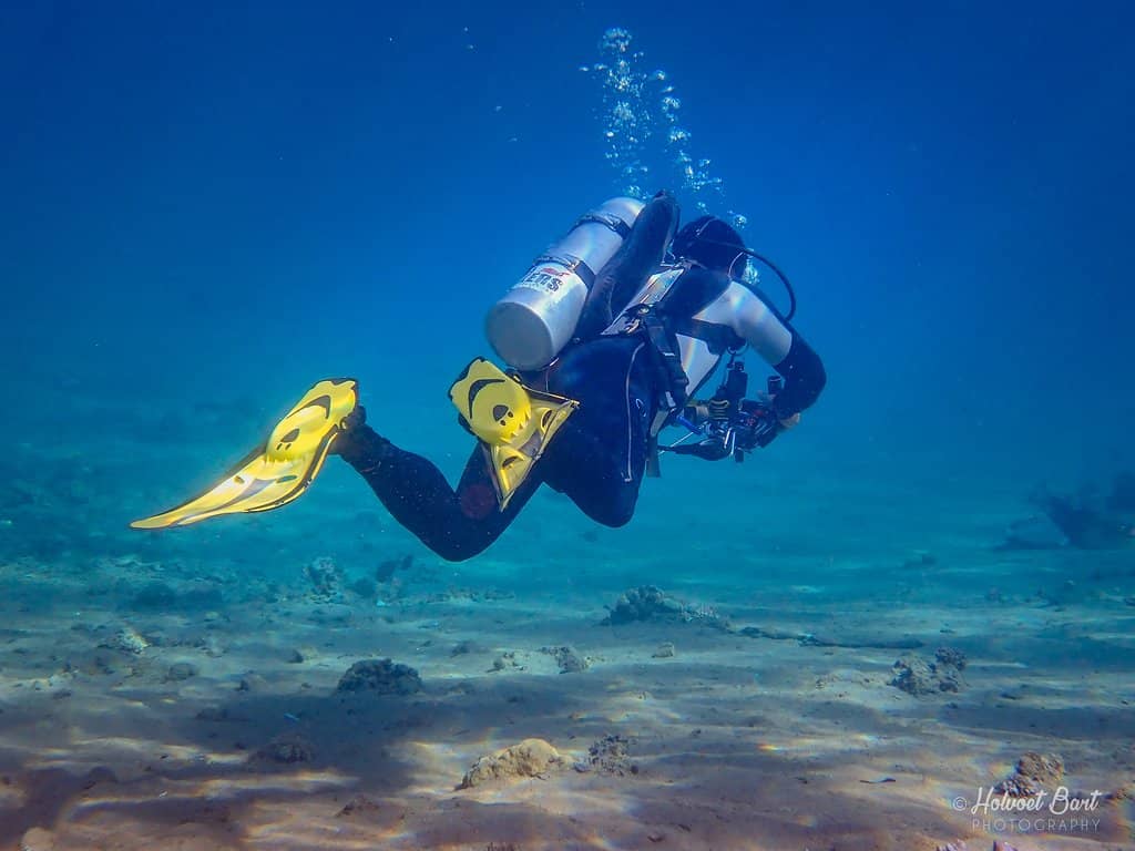 Local Dive Centers