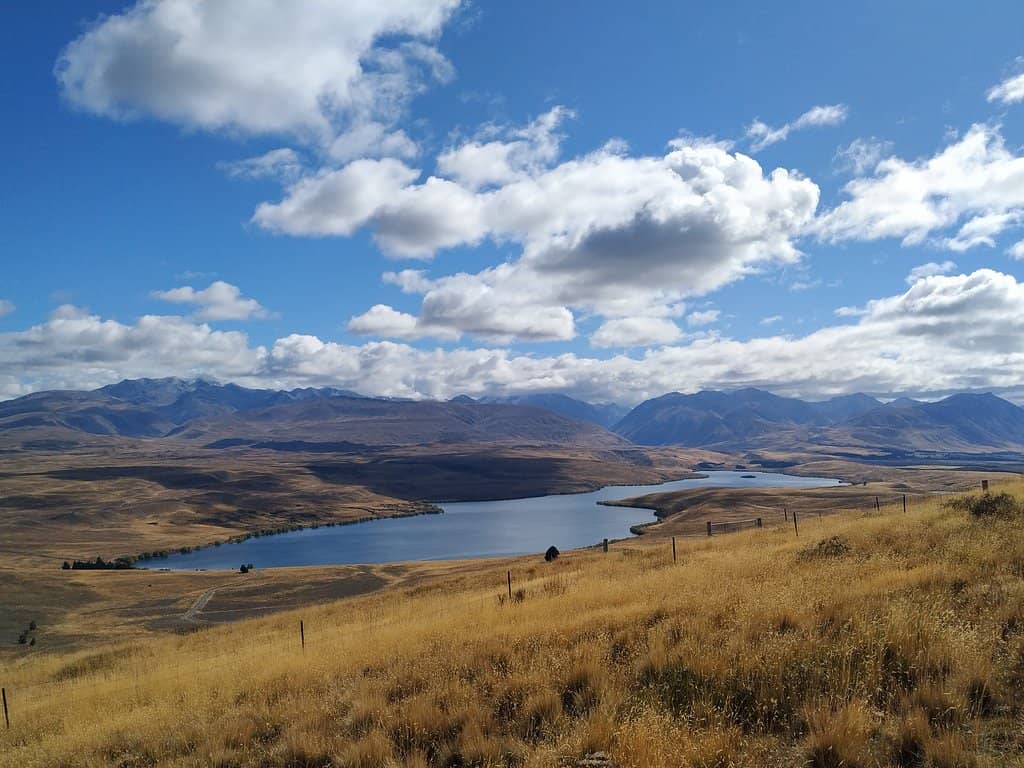 Birdwatching Paradise