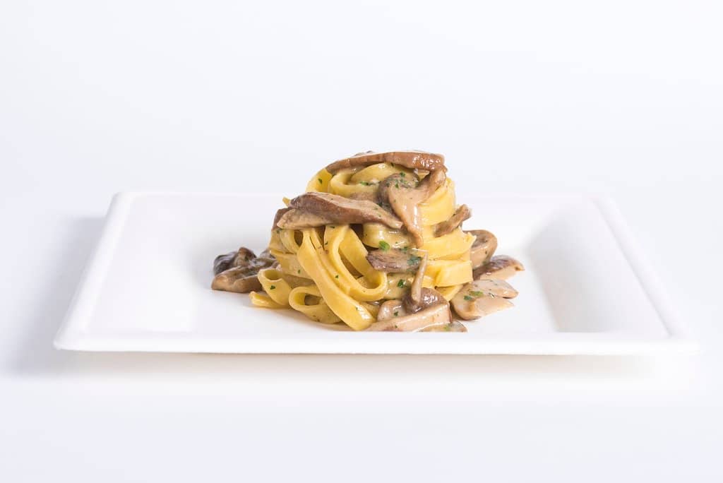 Vegetarian Lasagna