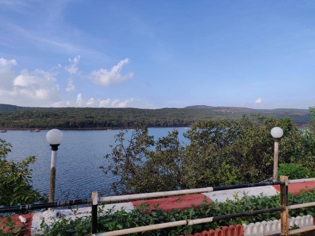 Playground & Gardens