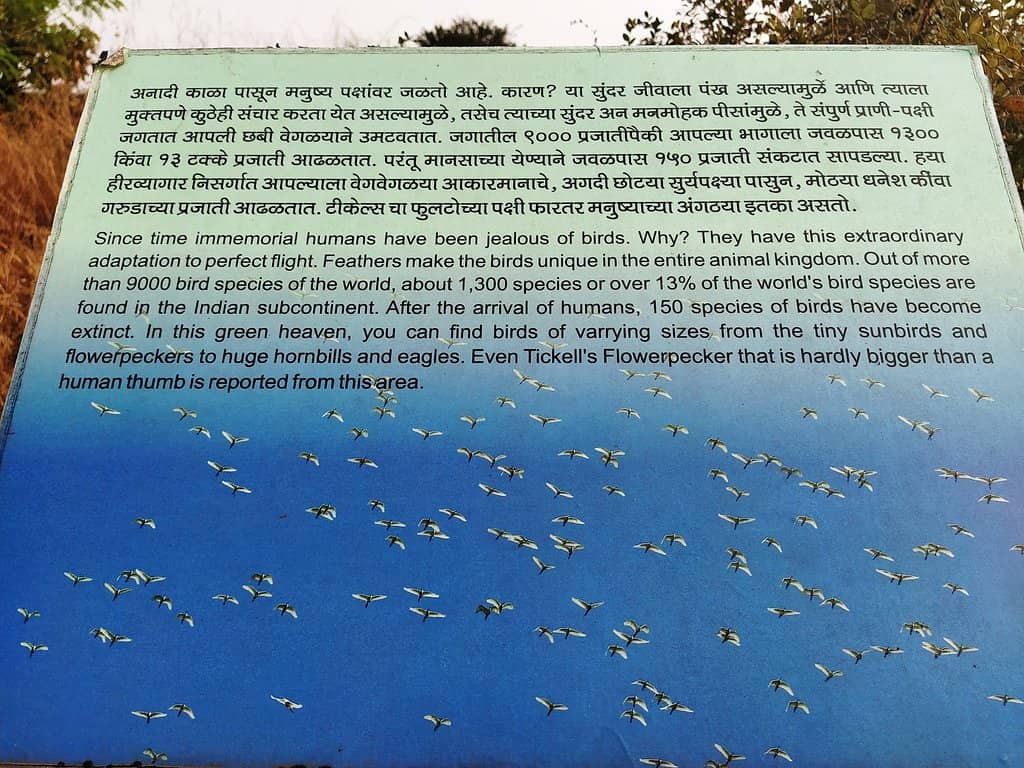 Nature Trails & Flora