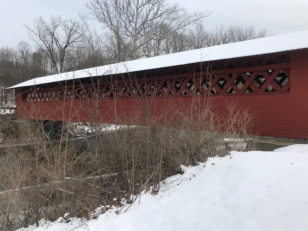 Fall Foliage Spectacle